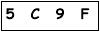 salt-161FE7A2