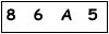 salt-BBAA3818