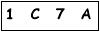 salt-2C9F4A9C