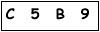 salt-60C54EB3