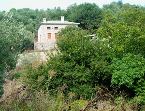 Διαχείριση Ακινήτων